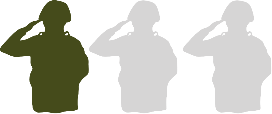 1 in 3 veterans delayed accessing treatment